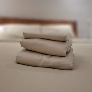 Tencel Sheet Set King